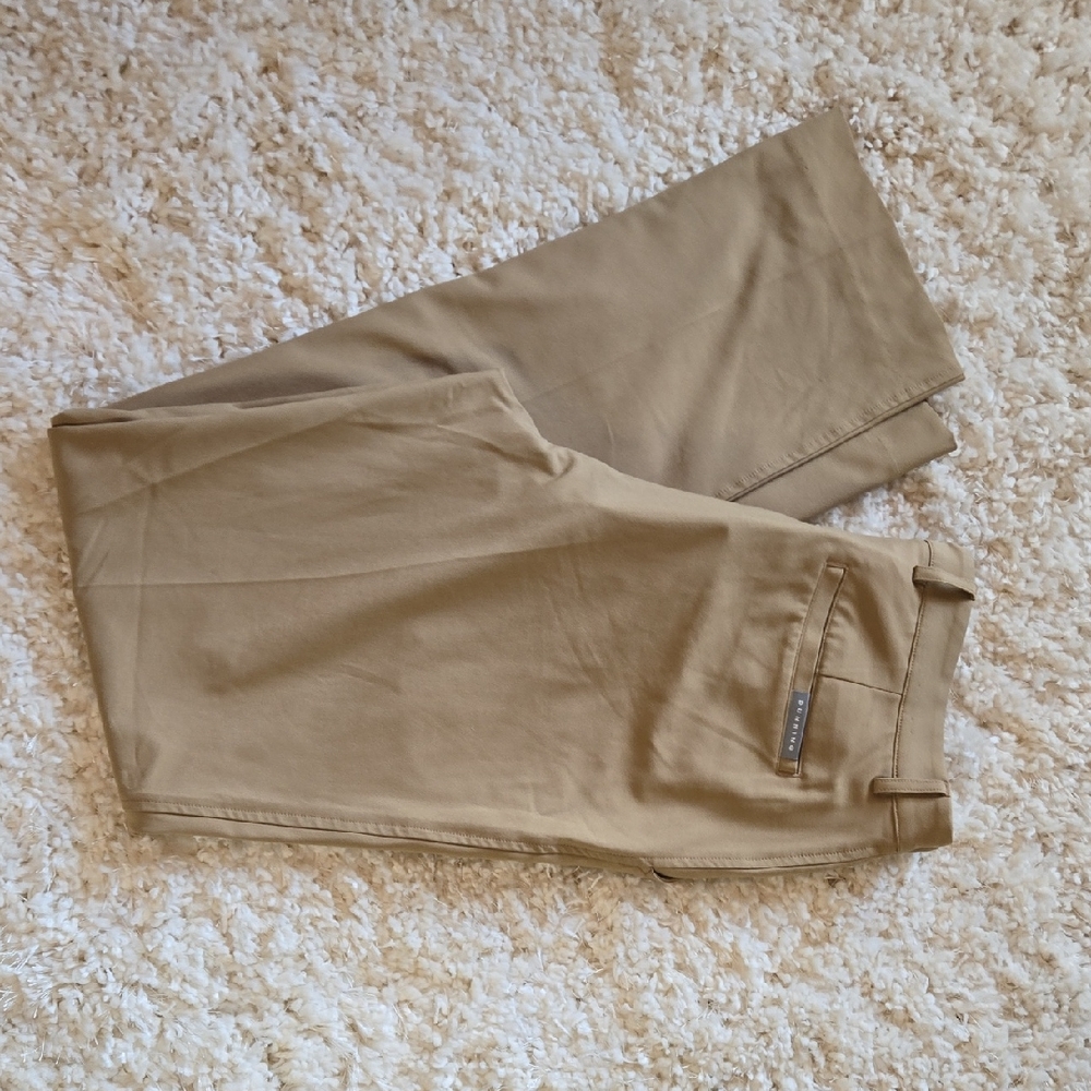 Dunning Men's Tan Golf Pants 34x34